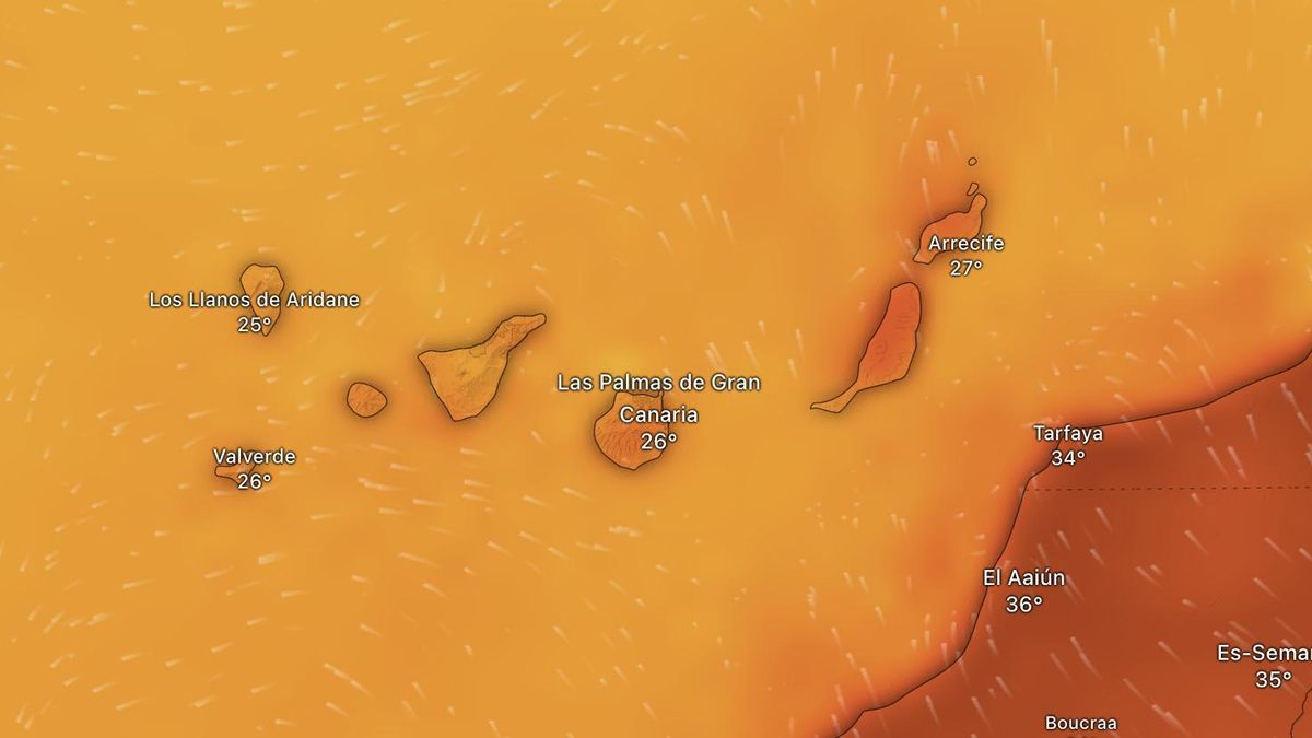 Mapa de temperaturas previstas en Canarias para el viernes, 8 de noviembre, según el modelo europeo. Los colores rojizos indican más de 30 grados.