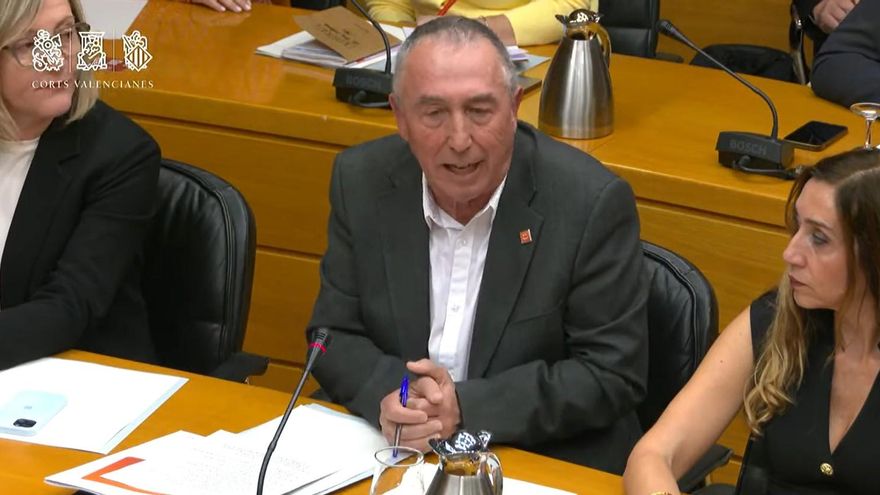 Joan Baldoví, durante la comisión de investigación de la dana en las Corts