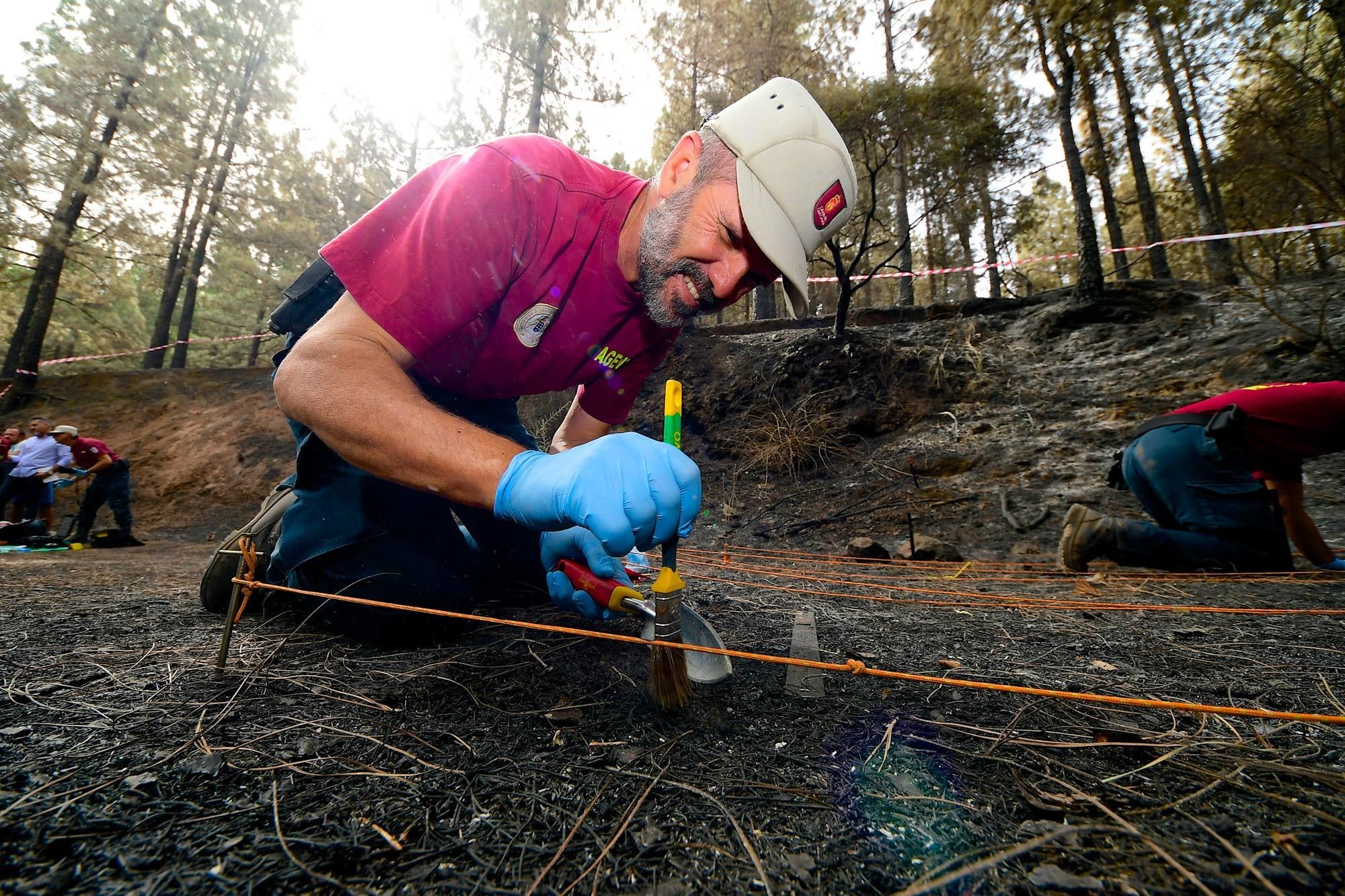 Agentes de Medio Ambiente del Cabildo de Gran Canaria que conforman el equipo de investigación del incendio de Valleseco