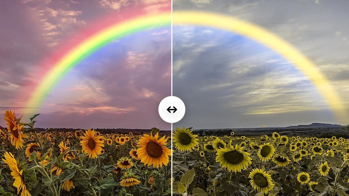“¿Y tú cómo ves?”: la pregunta que llevó a un zaragozano daltónico a crear una app para mostrar su mundo