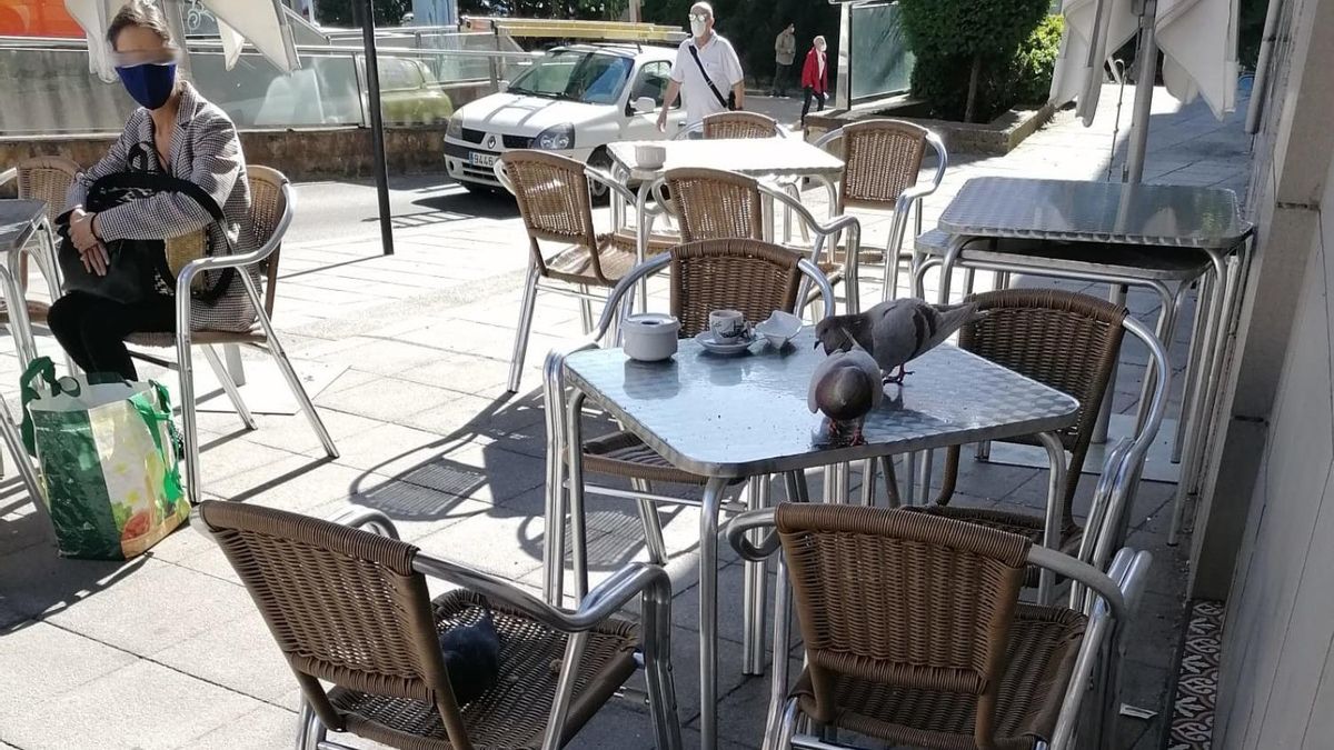 El Supremo rechaza que los seguros deban indemnizar por la pandemia a tres negocios hosteleros, uno en León