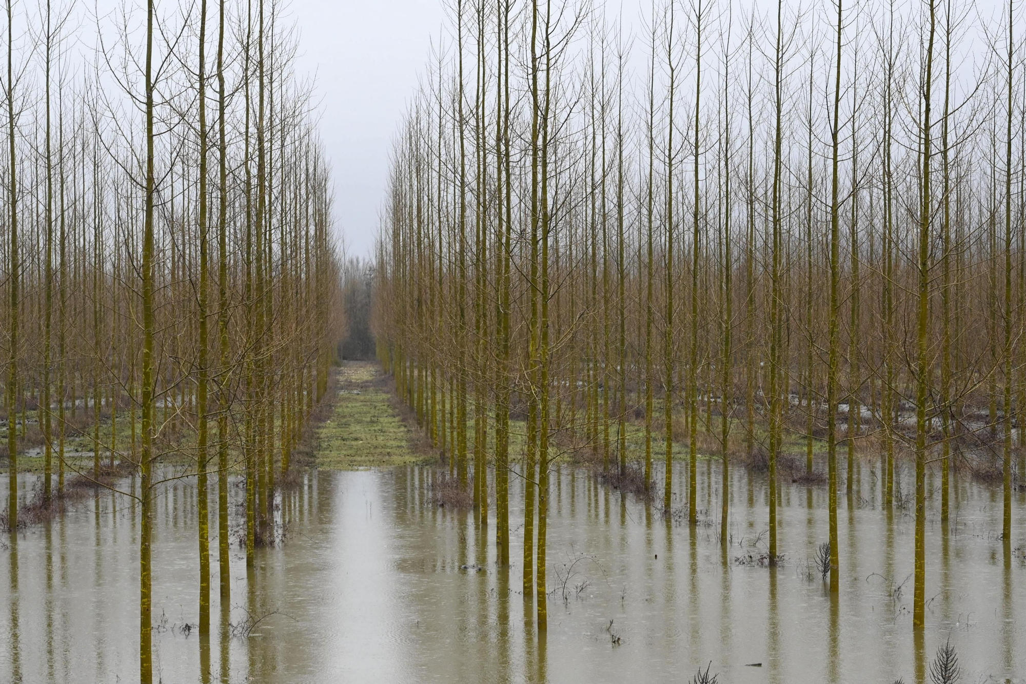 Campos anegados en el entorno de Carrizo de la Ribera al desbordarse el río Órbigo.
