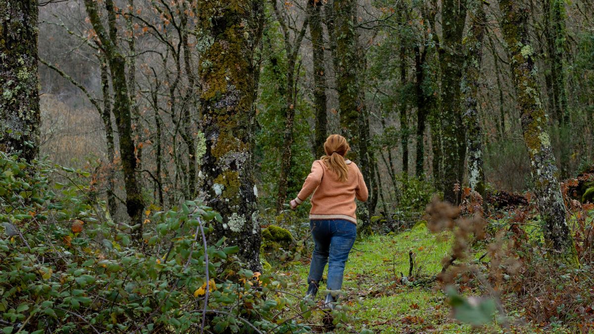 'El cuco de cristal' de Netflix