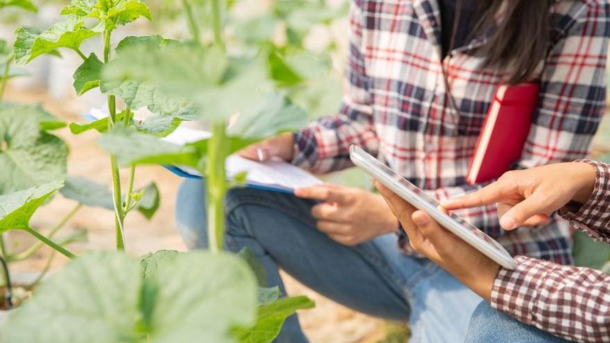 Nueva convocatoria para incorporación de jóvenes al sector agrario con planes de mejora dotada con 100 millones de euros