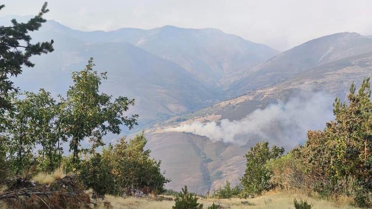 El nuevo incendio está situado al sur del pueblo de Colinas del Campo, municipio de Igüeña (El Bierzo).