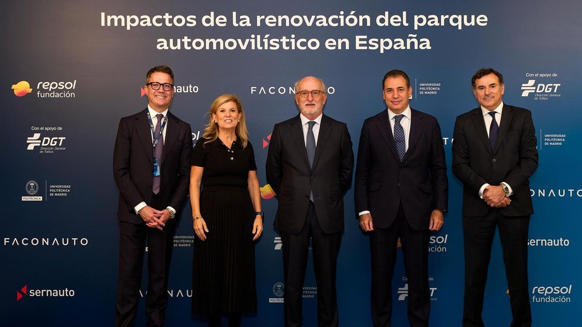 Los españoles también piden un Plan Renove que incluya ayudas a coches de combustión