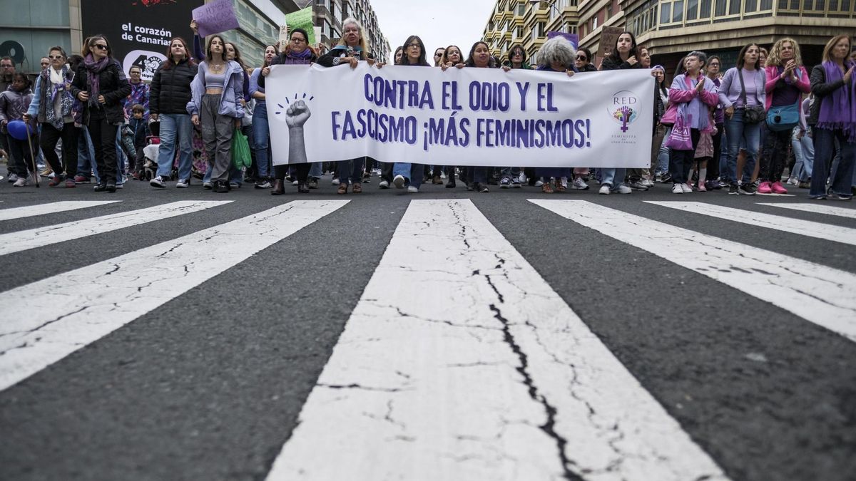 Manifestación por el 8M en Las Palmas de Gran Canaria. EFE/Ángel Medina G.