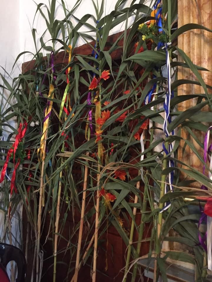 Canas de Santa Lucía, Puntallana. MVH