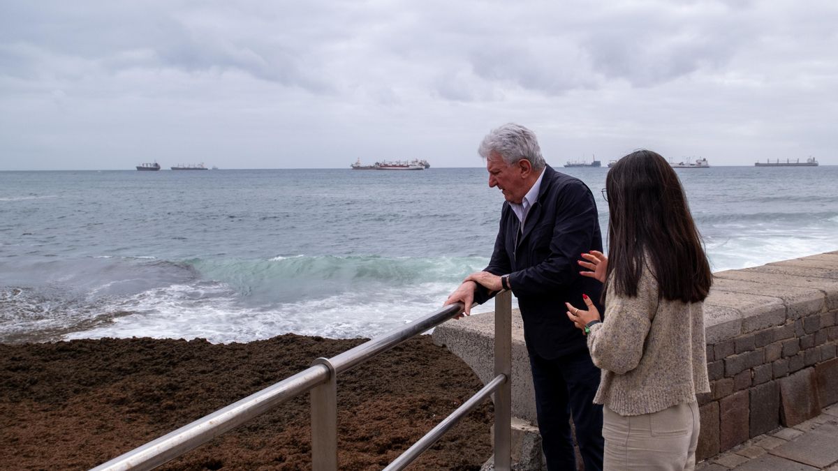 El concejal de Ciudad del Mar, Pedro Quevedo, durante la retirada de las algas.