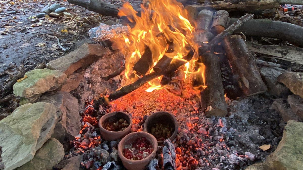 Los restos en cerámica revelan la compleja comida de los primeros europeos: animales, pero también vegetales