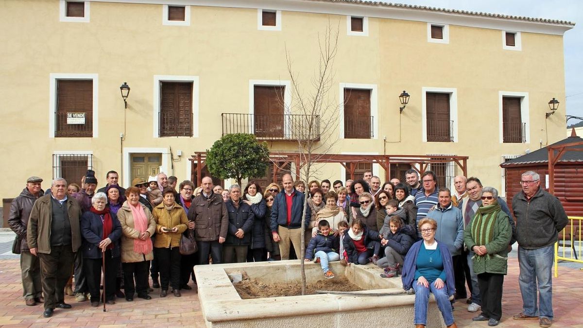 Pareja (Guadalajara) planta en su Plaza Mayor un ejemplar de olmo en sustitución a su centenaria Olma Vieja