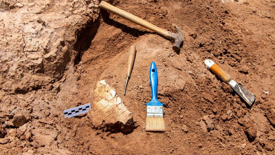 Hallan restos de tres gliptdontes de una especie de la que aún no se tenía registro en Santiago del Estero