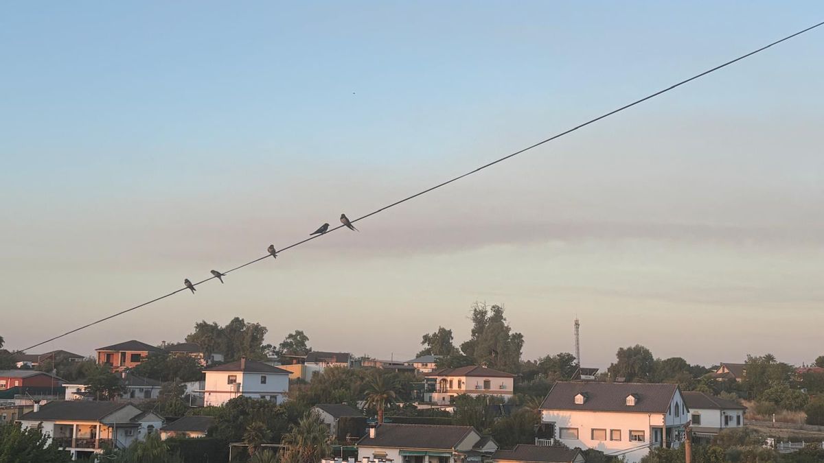 Humo del incendio de Niebla sobre Córdoba.