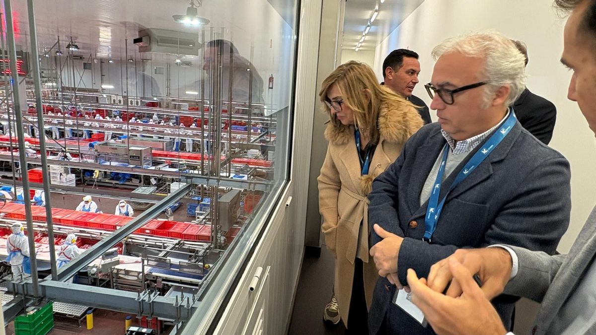 Aragón tratará de intensificar la caza de jabalíes para hacer frente a la peste porcina africana