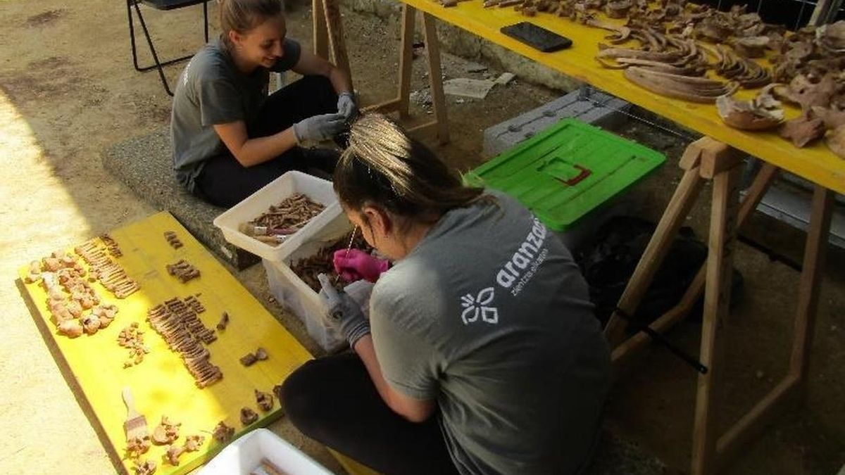 Hallados en la fosa de Pico Reja restos de cinco personas posiblemente víctimas de "muerte violenta"
