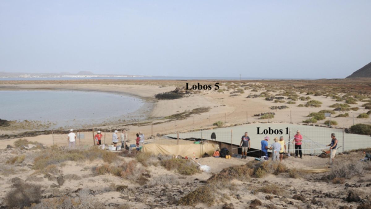 Comienza la undécima campaña de excavación arqueológica en el islote de Lobos