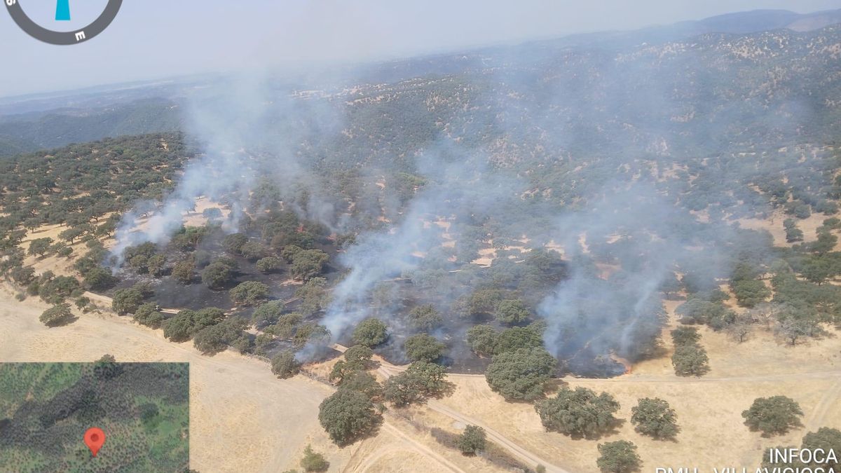 Declarado un incendio forestal en Almodóvar del Río