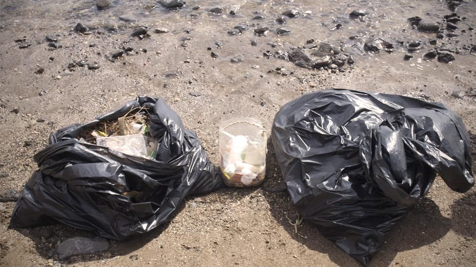 Limpieza de la charca de Salinetas (Carlota VE)