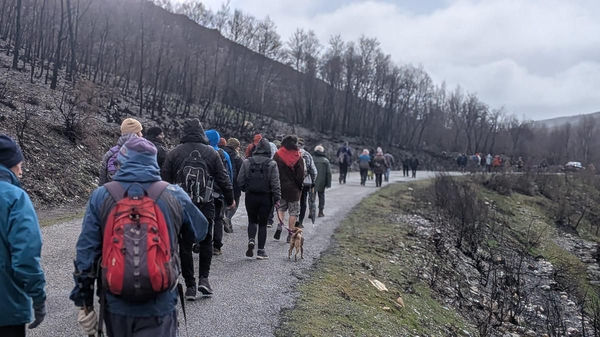 Las faldas del Teleno, escenario del cierre de las marchas reivindicativas de los bomberos forestales ‘El monte no olvida’