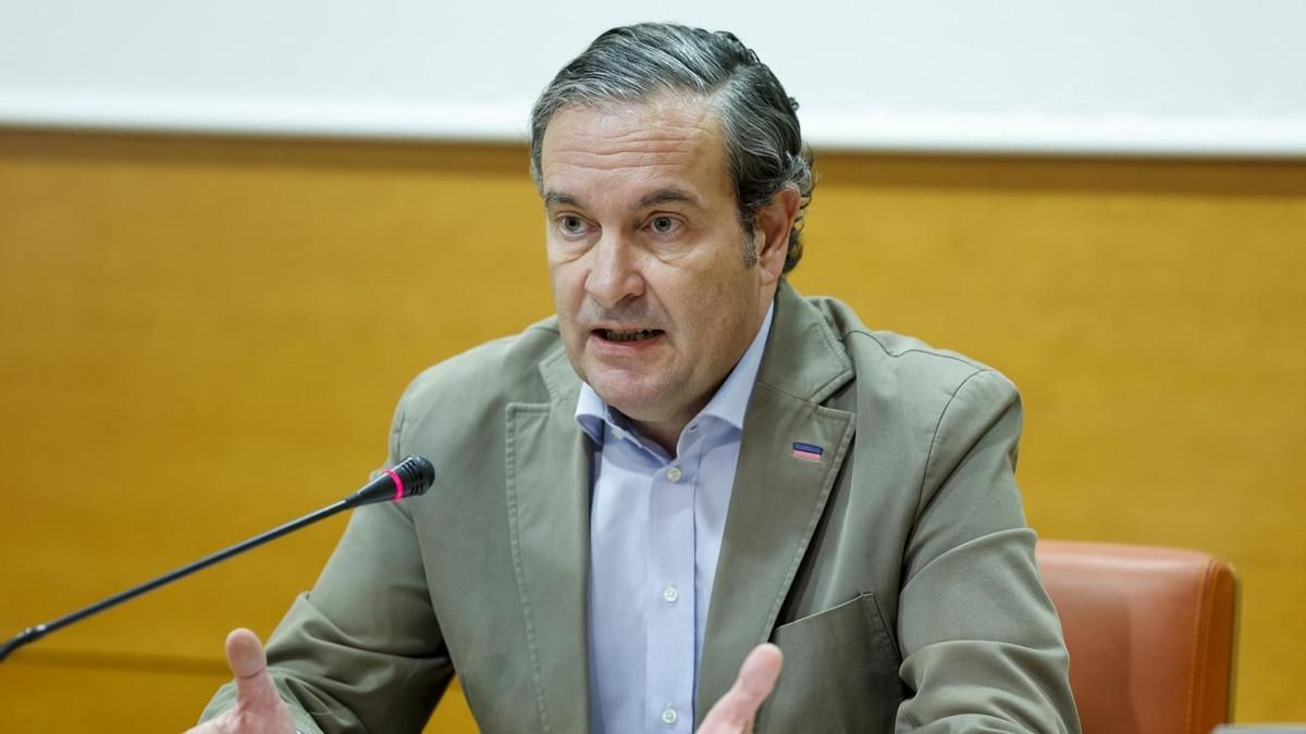 El PP pide a Diana Morant que exija a Sánchez las inversiones que "debe" a Alicante