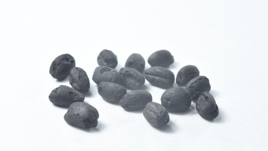 Semillas de trigo encontradas en La Palma, en El Tendal. De esta especie, son las más antiguas documentadas en Canarias.