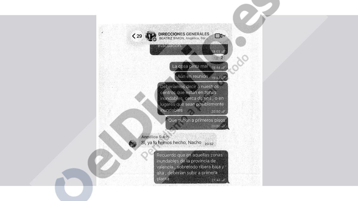 Fragmento del chat de WhatsApp de las directoras generales del departamento de Susana Camarero.