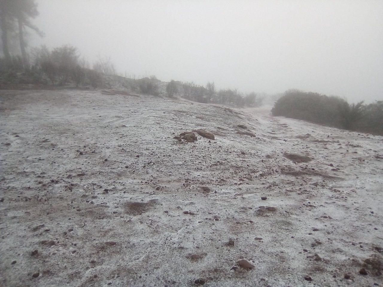 El Parlamento de Canarias ha suspendido el pleno de este lunes debido a la declaración de alerta