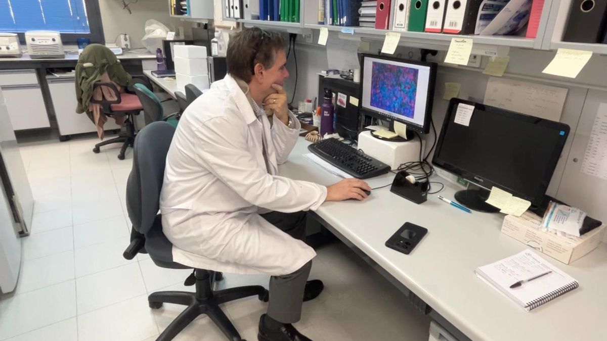 Investigadores de un centro andaluz lanzan un cribado pionero para el diagnóstico precoz de la diabetes