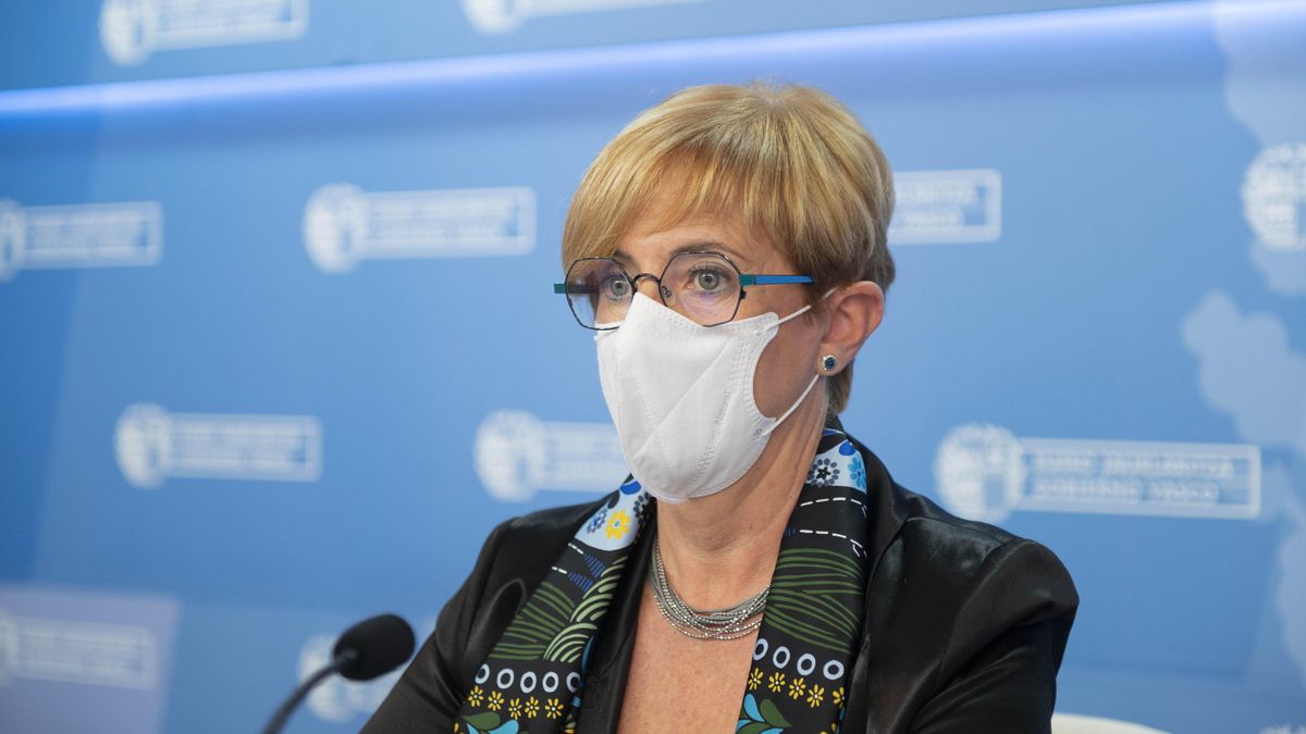 La consejera de Desarrollo Económico, Sostenibilidad y Medio Ambiente, Arantxa Tapia