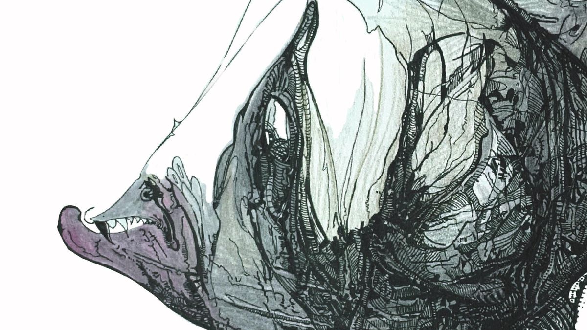 Catálogo de Especies 2026 inicia en el Museo Benahoarita la primera de sus propuestas expositivas del año