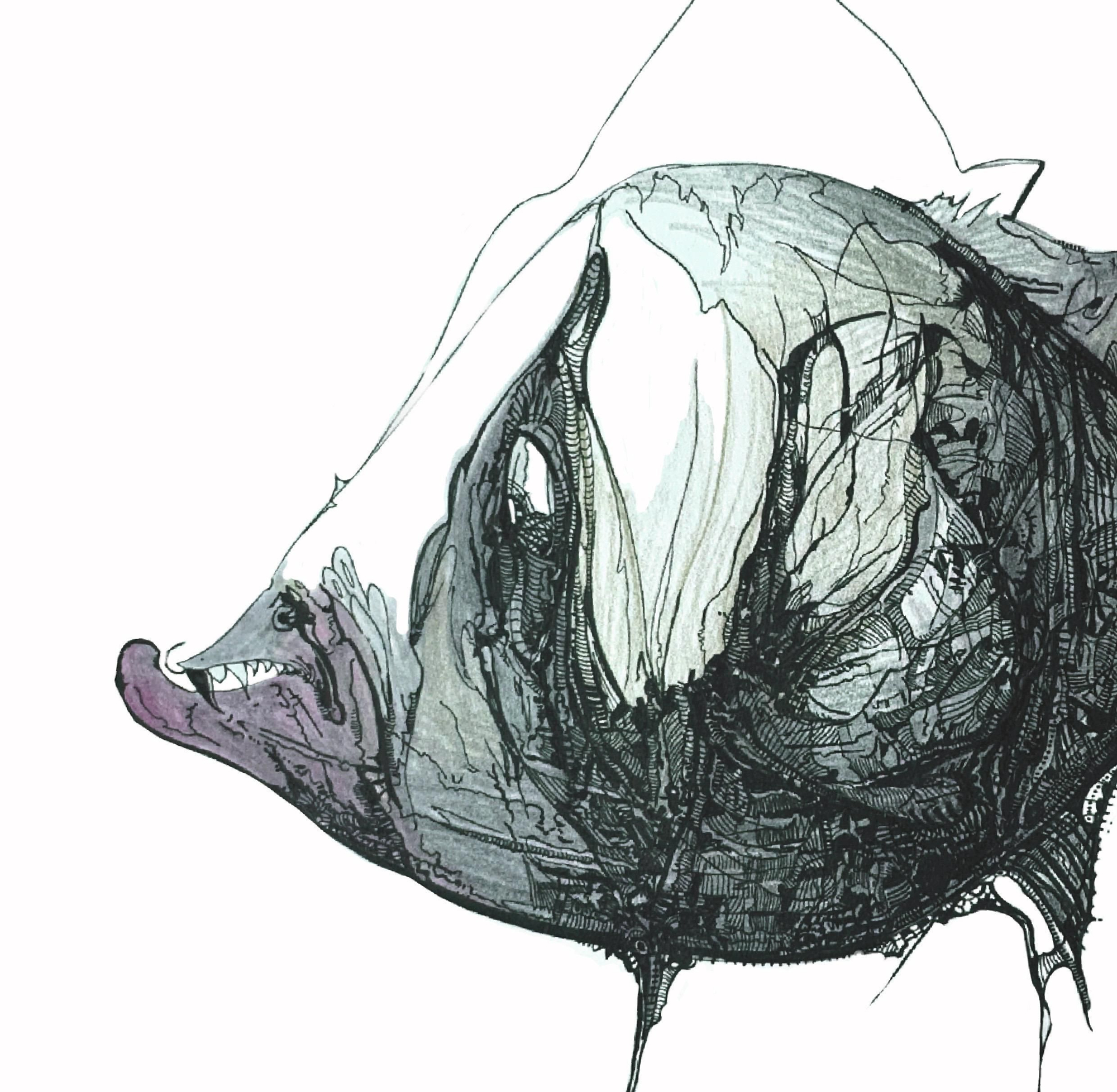 A través del dibujo en tinta china y la creación de criaturas marinas imaginadas para un planeta en transformación,  con 'Catálogo de Especies, Naza Martín propone una reflexión visual sobre cómo podríamos adaptarnos a los límites del territorio que habitamos.