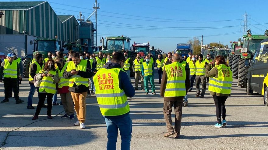 Tensión y enfrentamientos en la protesta de los ganaderos en Talavera