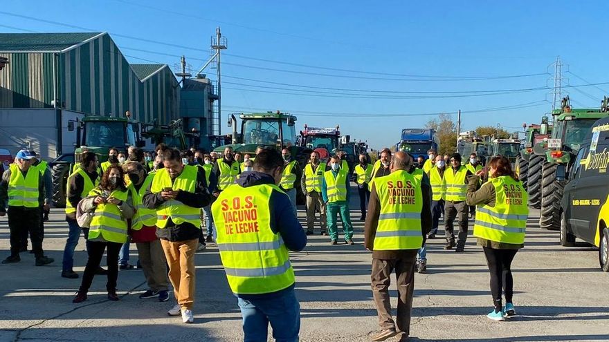 Tensión y enfrentamientos en la protesta de los ganaderos en Talavera