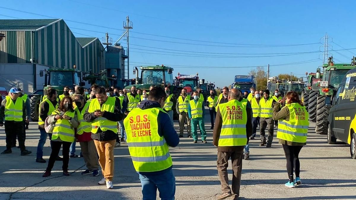 Tensión y enfrentamientos en la protesta de los ganaderos en Talavera