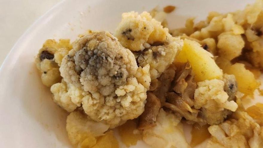 El Gobierno de Ayuso propone adjudicar la alimentación de cinco residencias a la empresa que sirvió comida podrida