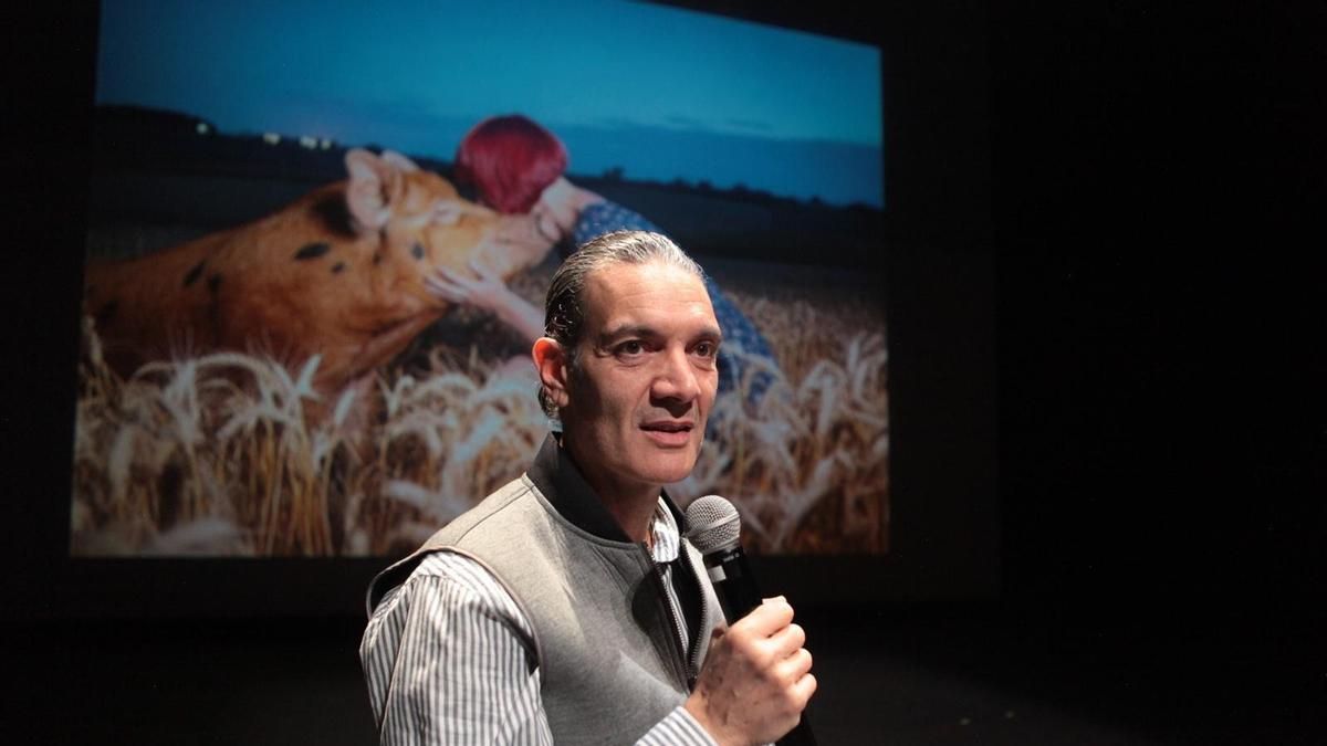 El Ayuntamiento de Torrelodones castiga a una compañía de teatro que denunció en su representación el genocidio en Gaza