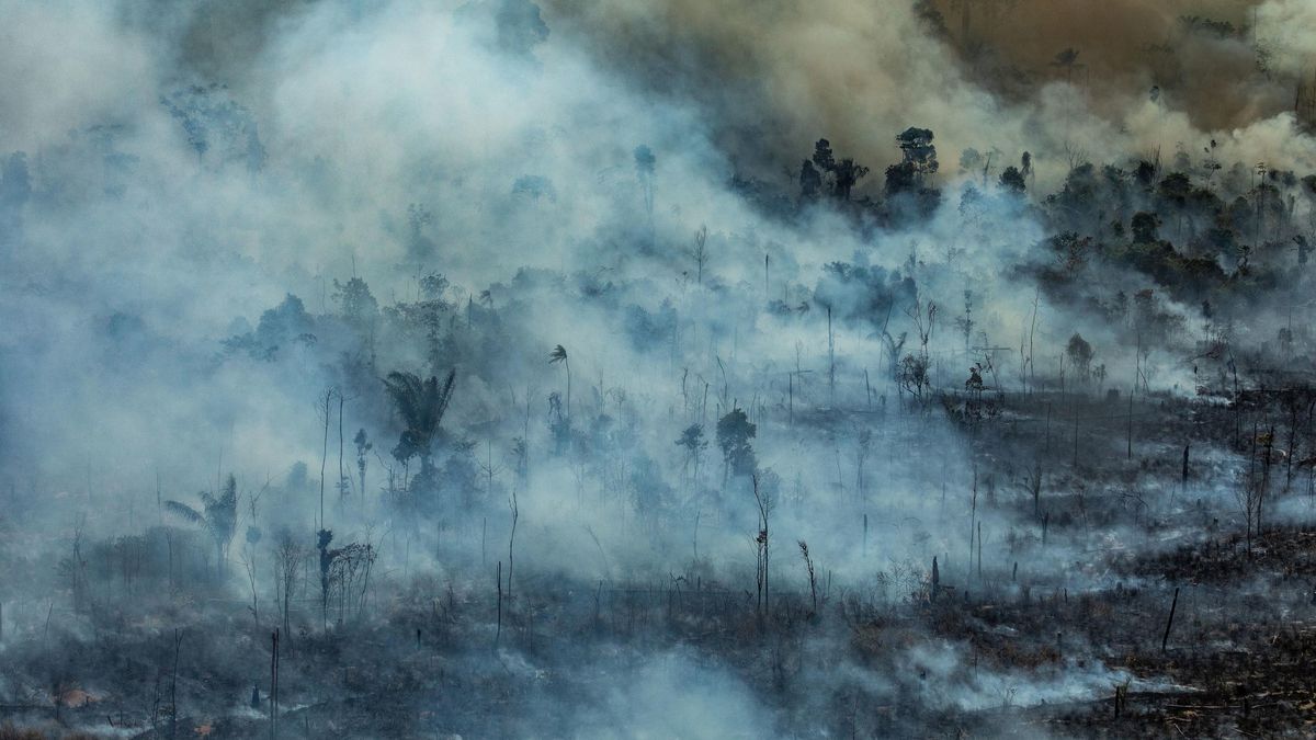 Novo Progresso, Para, Brasil. Incendio en Jamanxim. Foto: cortesía Víctor Moriyama/Greenpeace