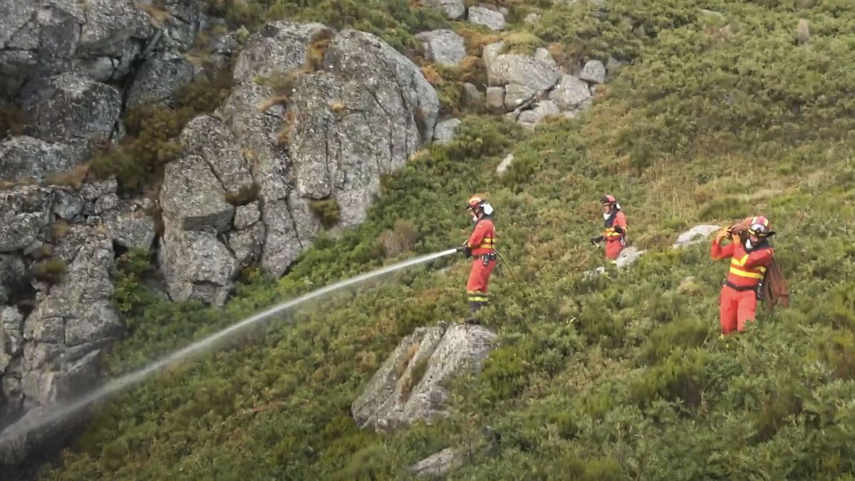 Declaran la "alarma extrema" por incendios en 37 municipios de León, Zamora y Palencia