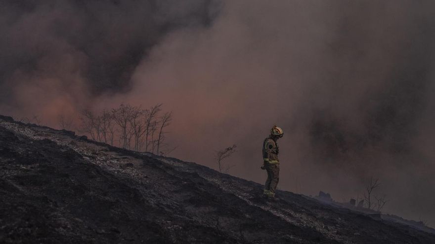 Los bomberos forestales en Galicia denuncian falta de prevención y de medios: "La sensación es de derrota"