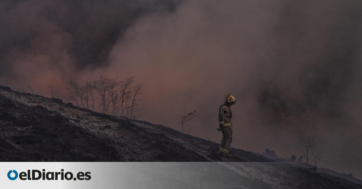 Los bomberos forestales en Galicia denuncian falta de prevención y de medios:  La sensación es de derrota 