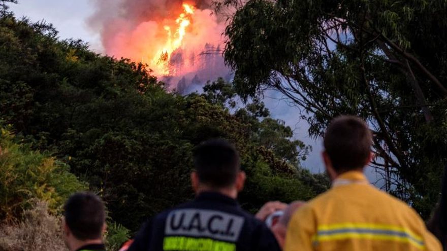 El Gobierno canario declara la alerta por incendio forestal en dos islas