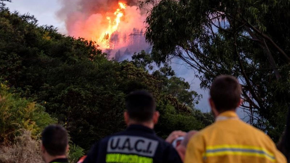 El Gobierno canario declara la alerta por incendio forestal en dos islas