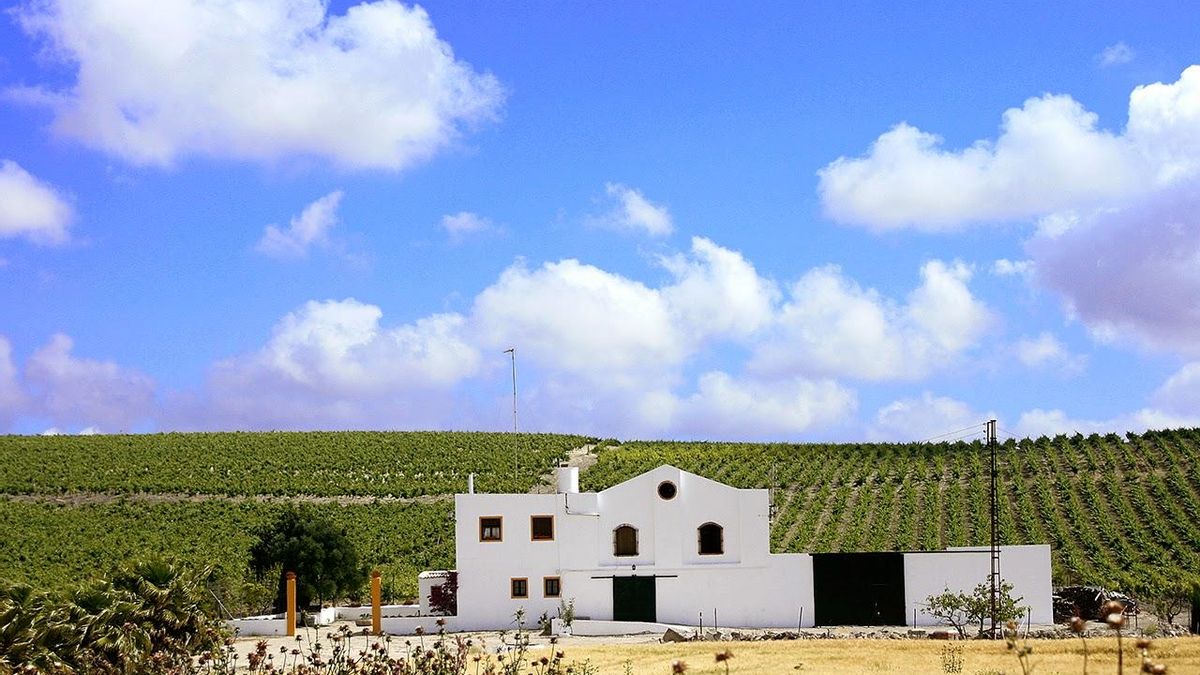 En esta zona del sur de la península este plato de toda la vida se toma con mosto y rodeado de viñedos