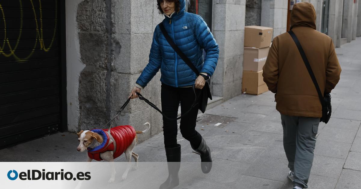 La Aemet advierte de lo peor del episodio invernal entre jueves y viernes: frío, nevadas y problemas para el transporte