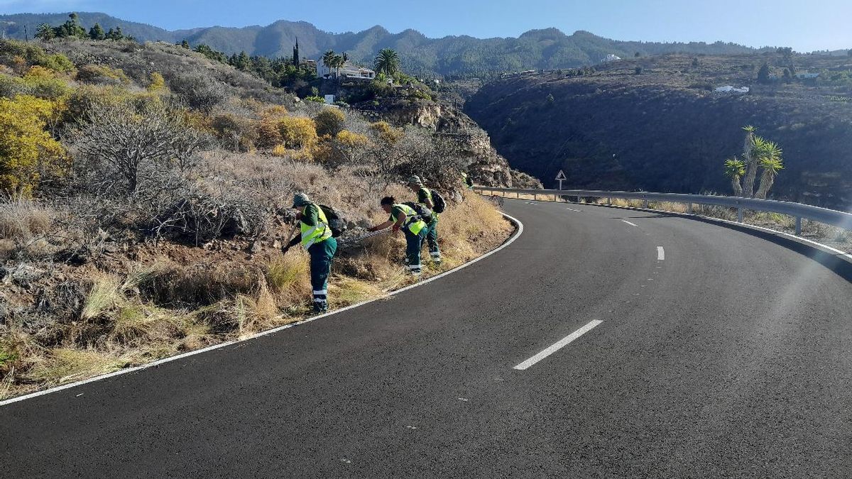 El Cabildo mejora los entornos naturales de La Palma con un plan de empleo social