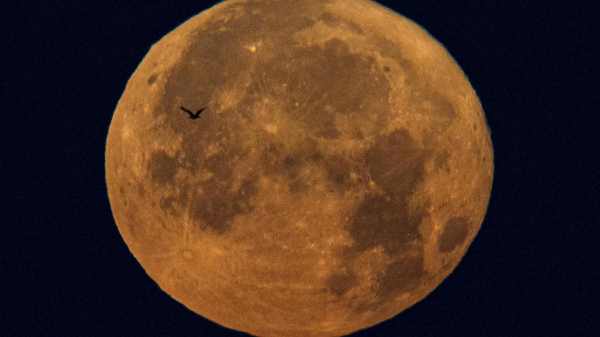 Superluna de junio de 2024, conocida como Luna de Fresa