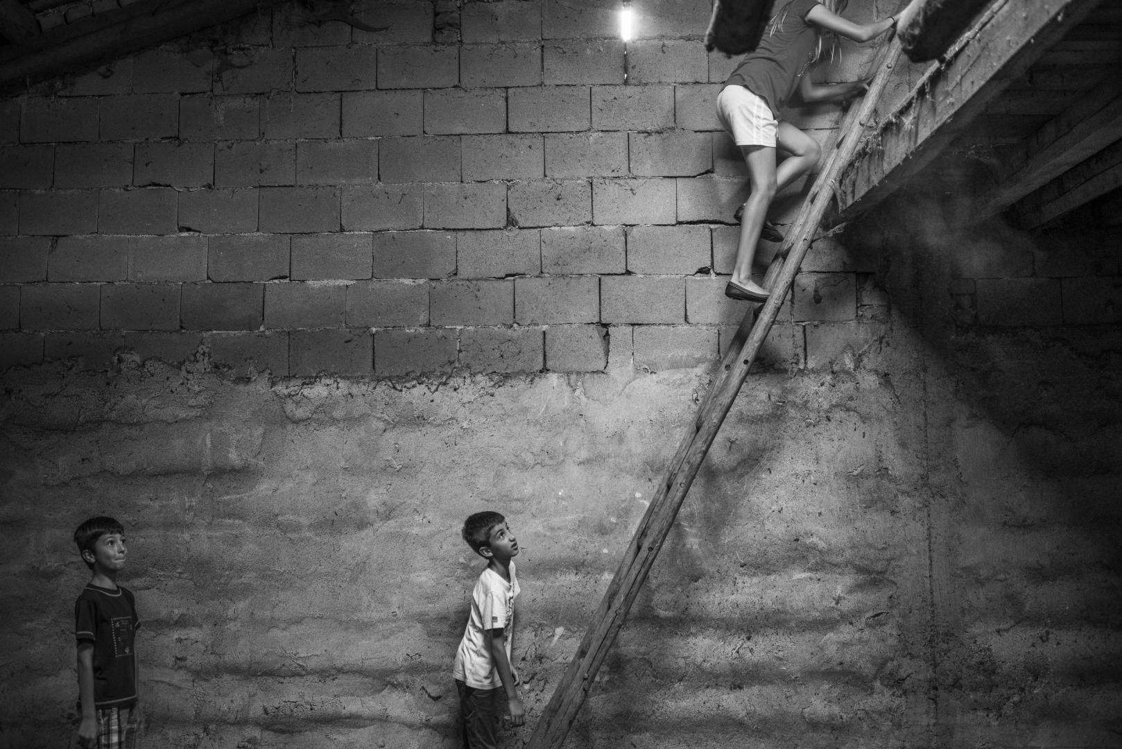 'Ich Bin Waldviertel' | Carla Kogelman