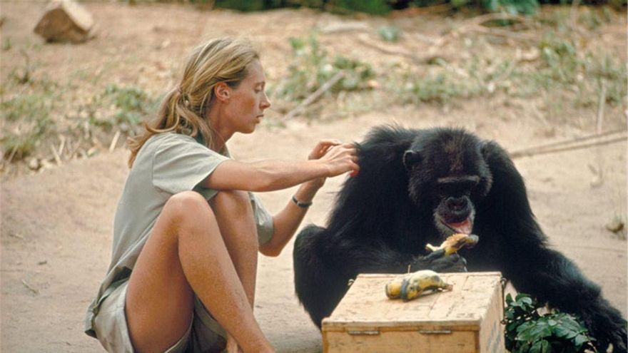 El regalo de compartir universo con Jane Goodall: “Estar con ella significaba sentir que el futuro era posible”