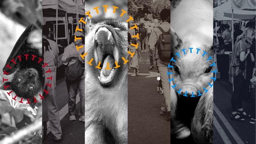 Los virus animales saltan a los humanos más de lo que creemos y eso nos puede ayudar a entender la próxima pandemia