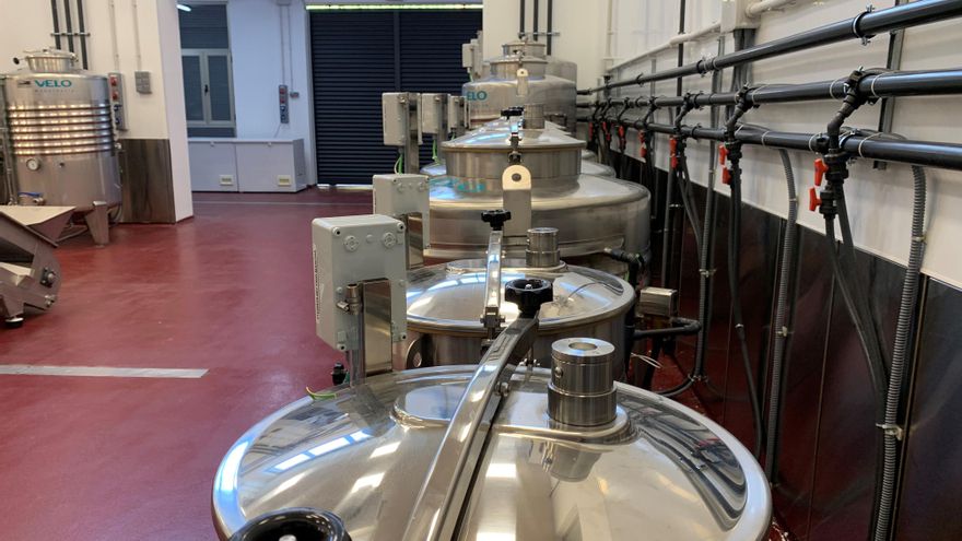 Una bodega experimental en la UCLM para aprender en vivo desde la recogida de la uva hasta la crianza de los vinos